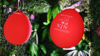 Romantični tjedan u Ninu Romantični tjedan u Ninu