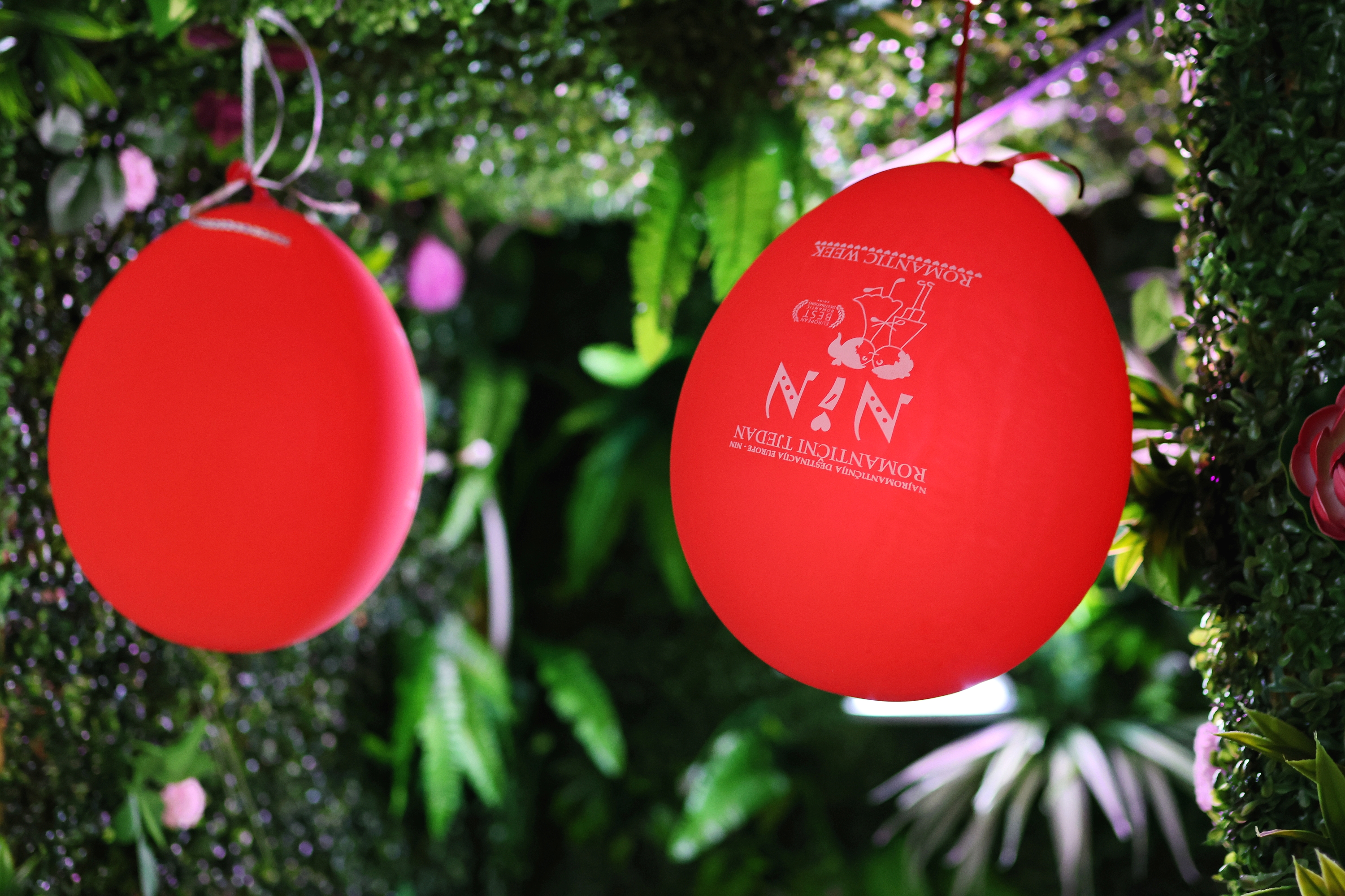 Romantični tjedan u Ninu Romantični tjedan u Ninu