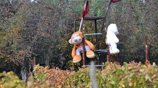 Zadar, 021111
Uz cestu koja vodi od Zadra prema Razancu moze se vidjeti jedan od sigurno najneobicnijih vinograda na svijetu. Umjesto uobicajenih strasila, vinograd cuvaju ogromni plisani medvjedi , lutke, barbike i raznorazne druge igracke i predmeti.
Fo Zadar, 021111
Uz cestu koja vodi od Zadra prema Razancu moze se vidjeti jedan od sigurno najneobicnijih vinograda na svijetu. Umjesto uobicajenih strasila, vinograd cuvaju ogromni plisani medvjedi , lutke, barbike i raznorazne druge igracke i predmeti.
Fo