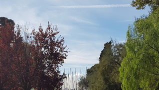 Đir po gradu 19. listopada 2016.