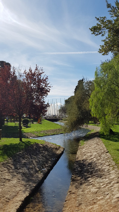 Đir po gradu 19. listopada 2016.