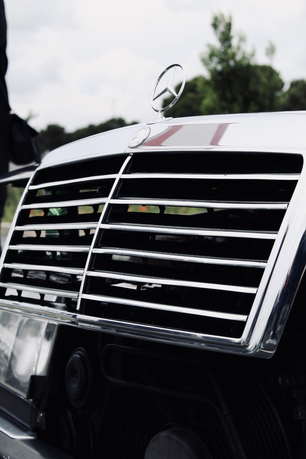 3. Zadarski Mega Meet 3. Zadarski Mega Meet