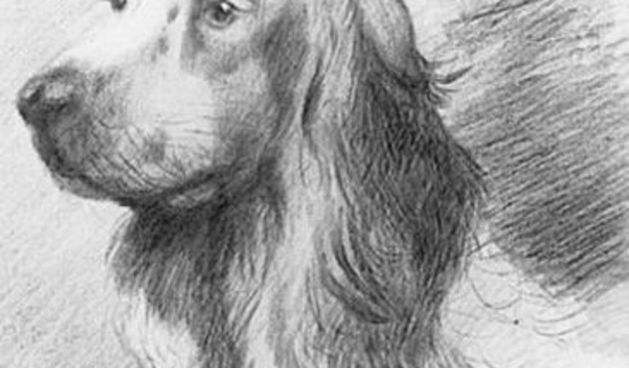 Jedan od Hitlerovih crteža