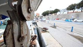 Ribarice u zadarskoj luci, Foto: Leo Banić