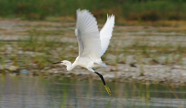 Jutro na Vranskom jezeru