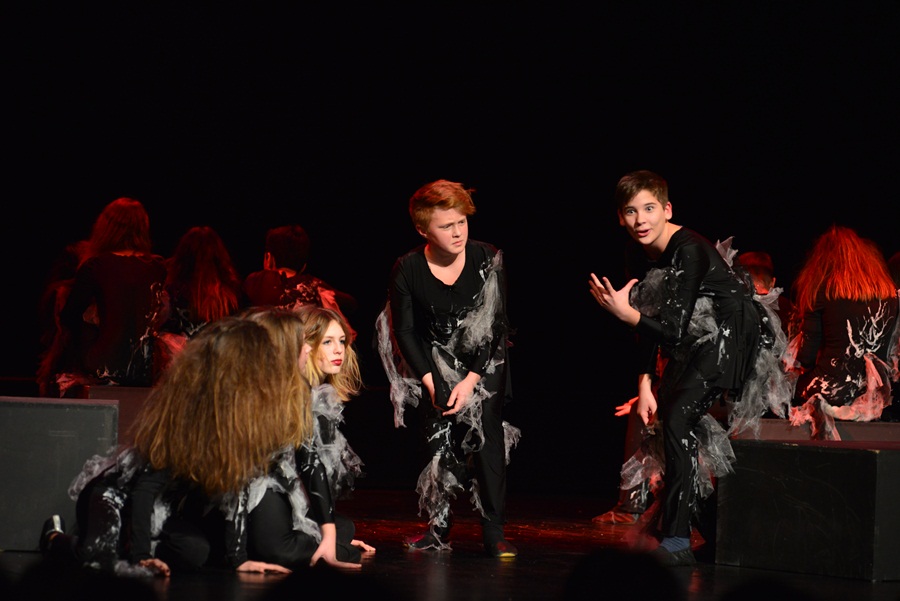 Premijera predstave “U sjeni” udruge “Igrajmo se” Premijera predstave “U sjeni” udruge “Igrajmo se”