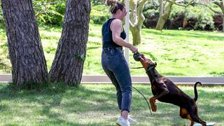 Međunarodna izložba pasa CACIB 2023