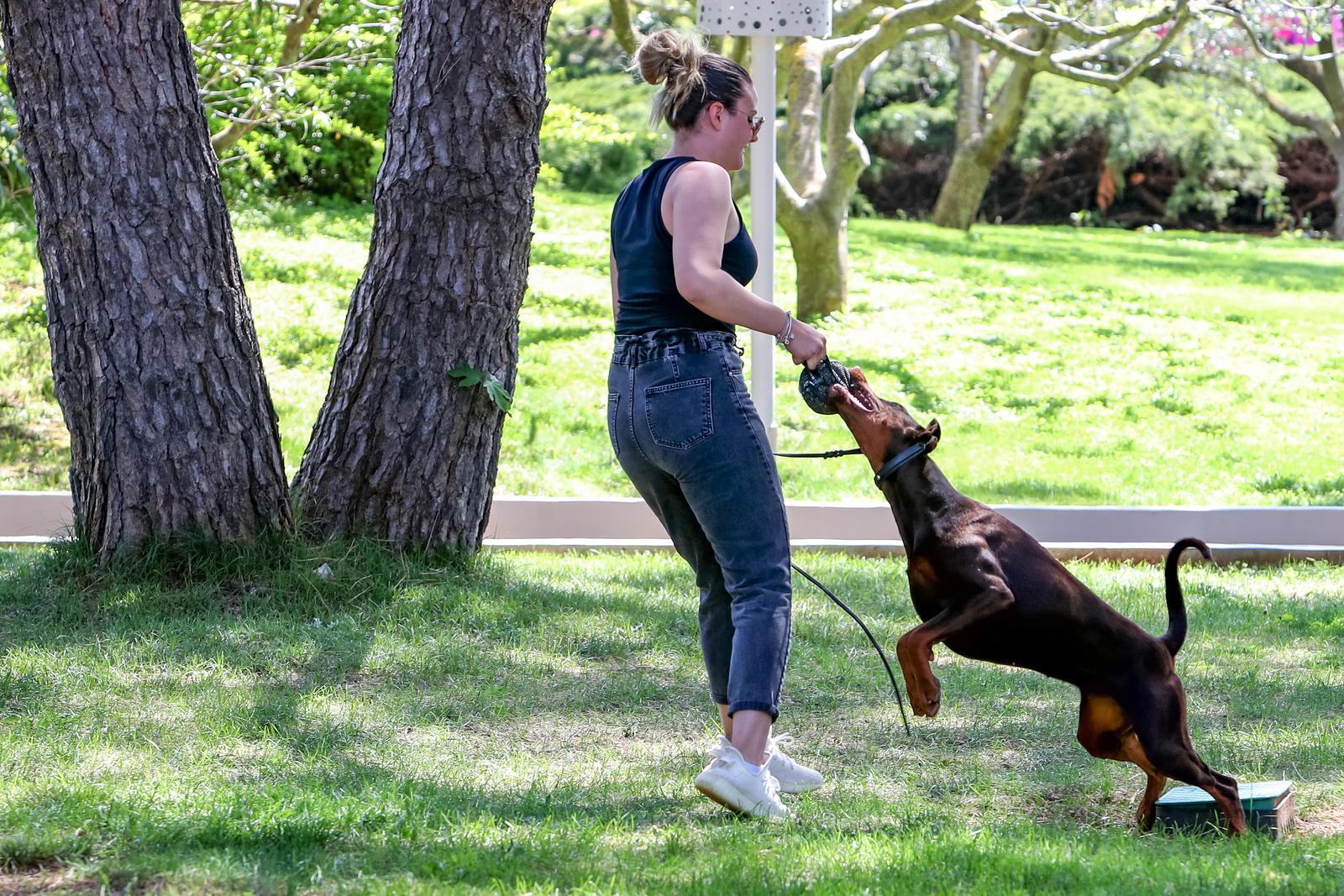 Međunarodna izložba pasa CACIB 2023