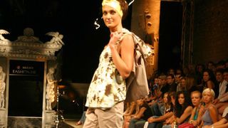 Image 1174757 (auto)