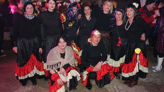 Virske maškare 2018: Defile maškaranih skupina i fešta uz “Koktelse”