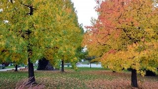 Prekrasne boje bjelovarske jeseni, Photo: Damir Špehar/PIXSELL