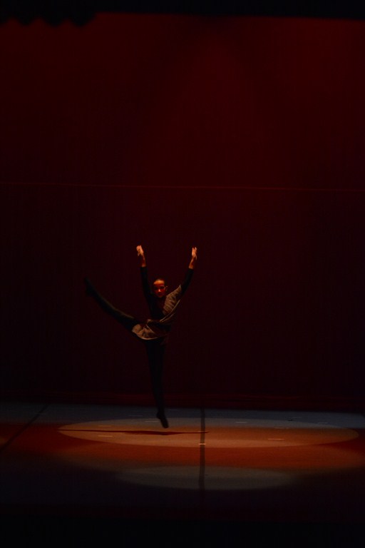 “Baletna raspodija” u HNK Zadar, udruga Pirueta