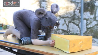 Maškarana povorka Velike Bake u Murteru