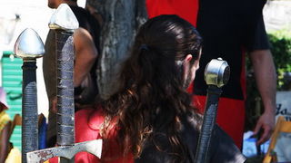 Zvonimirovi dani, Knin 28. i 29. lipnja 2008.