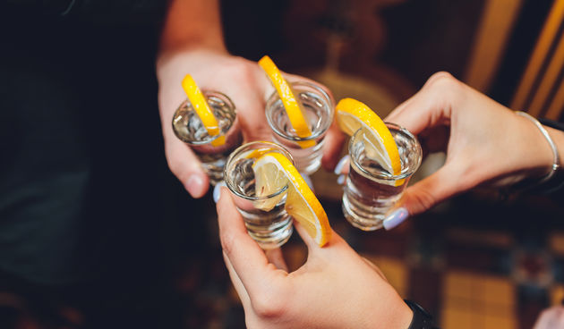 zdravica alkohol piće