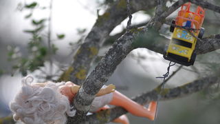 Zadar, 021111
Uz cestu koja vodi od Zadra prema Razancu moze se vidjeti jedan od sigurno najneobicnijih vinograda na svijetu. Umjesto uobicajenih strasila, vinograd cuvaju ogromni plisani medvjedi , lutke, barbike i raznorazne druge igracke i predmeti.
Fo Zadar, 021111
Uz cestu koja vodi od Zadra prema Razancu moze se vidjeti jedan od sigurno najneobicnijih vinograda na svijetu. Umjesto uobicajenih strasila, vinograd cuvaju ogromni plisani medvjedi , lutke, barbike i raznorazne druge igracke i predmeti.
Fo