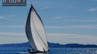 Zadarska koka 2017. Zadarska koka 2017.