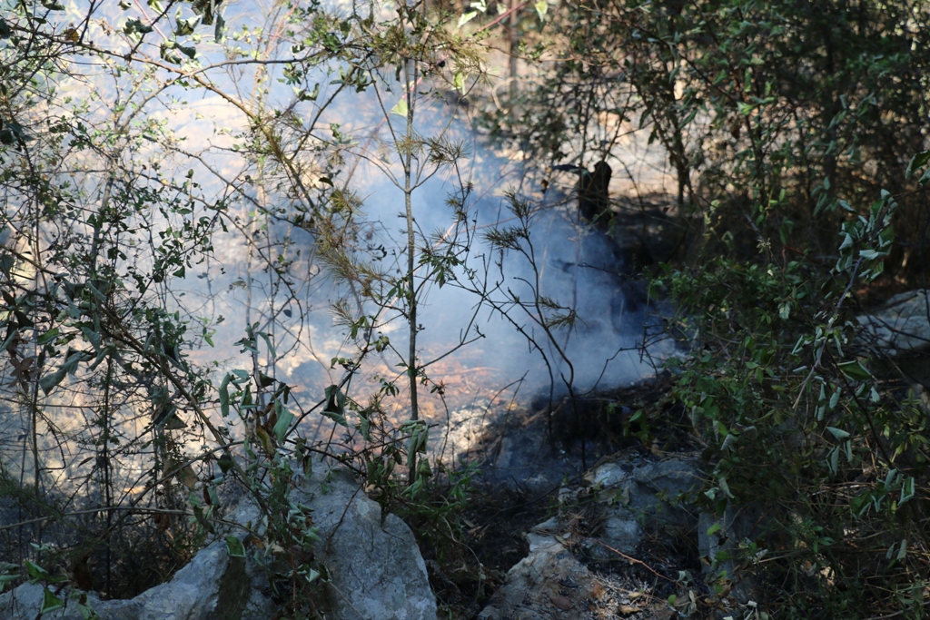 Vir: Požar u Lozicama u potpunosti ugašen Vir: Požar u Lozicama u potpunosti ugašen