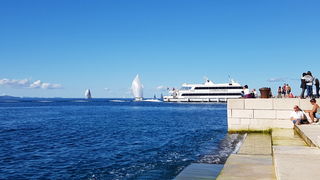 Zadarska Koka 2016. 22. listopada 2016. Foto: Mladen Malik Zadarska Koka 2016. 22. listopada 2016. Foto: Mladen Malik