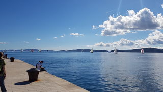 Zadarska Koka 2016. 22. listopada 2016. Foto: Mladen Malik Zadarska Koka 2016. 22. listopada 2016. Foto: Mladen Malik