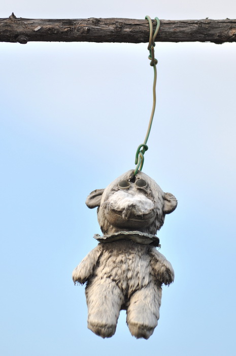 Zadar, 021111
Uz cestu koja vodi od Zadra prema Razancu moze se vidjeti jedan od sigurno najneobicnijih vinograda na svijetu. Umjesto uobicajenih strasila, vinograd cuvaju ogromni plisani medvjedi , lutke, barbike i raznorazne druge igracke i predmeti.
Fo Zadar, 021111
Uz cestu koja vodi od Zadra prema Razancu moze se vidjeti jedan od sigurno najneobicnijih vinograda na svijetu. Umjesto uobicajenih strasila, vinograd cuvaju ogromni plisani medvjedi , lutke, barbike i raznorazne druge igracke i predmeti.
Fo