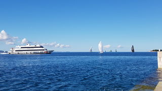 Zadarska Koka 2016. 22. listopada 2016. Foto: Mladen Malik Zadarska Koka 2016. 22. listopada 2016. Foto: Mladen Malik