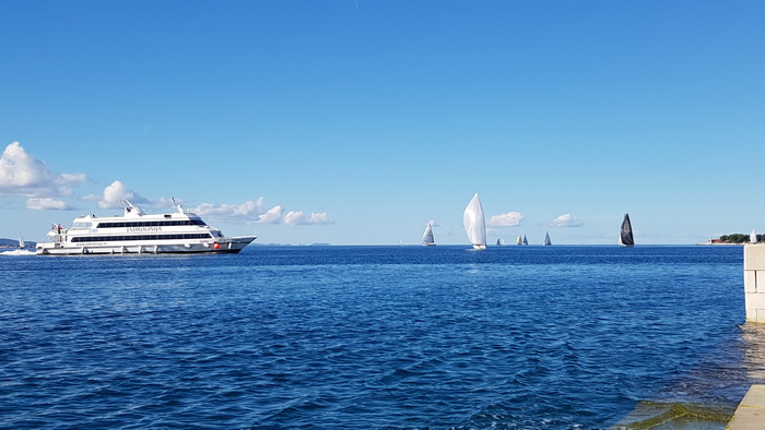 Zadarska Koka 2016. 22. listopada 2016. Foto: Mladen Malik Zadarska Koka 2016. 22. listopada 2016. Foto: Mladen Malik