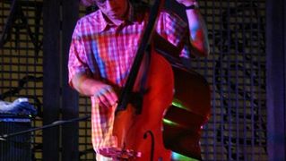 Image 1208809 (auto)