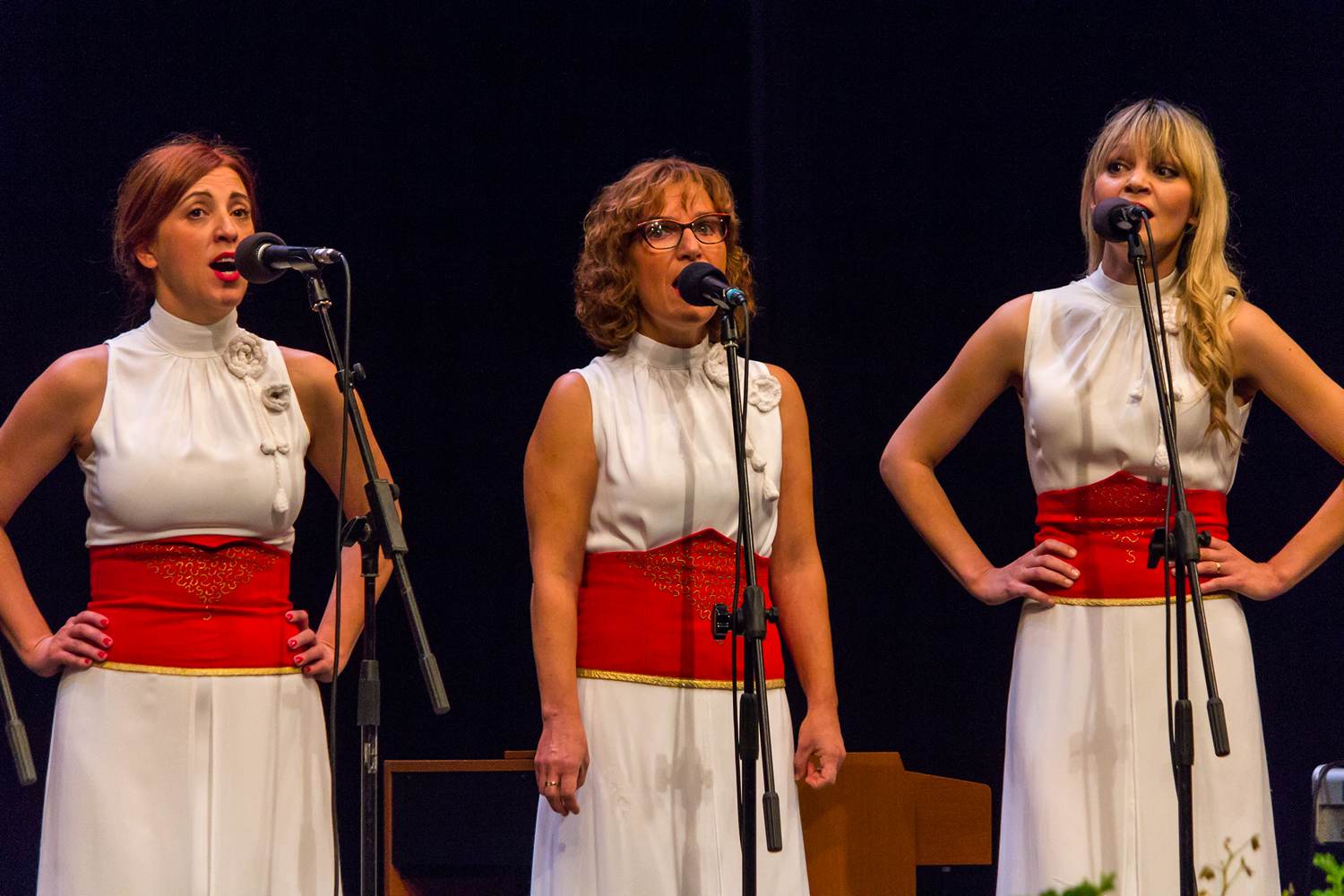 Klapa “Libar” je 30. listopada obilježila 10-tu obljetnicu, Foto: Mladen Radolović Mrlja