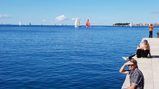 Zadarska Koka 2016. 22. listopada 2016. Foto: Mladen Malik Zadarska Koka 2016. 22. listopada 2016. Foto: Mladen Malik