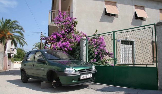 Image 1184441 (auto)