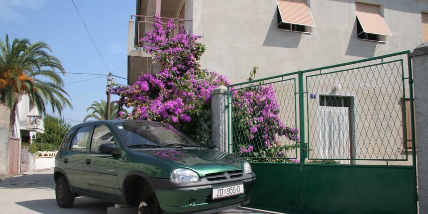 Image 1184441 (auto) Image 1184441 (auto)