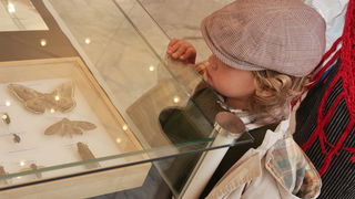 Izlozba A sto ako vam se svidjam? u Gradskoj lozi Izlozba A sto ako vam se svidjam? u Gradskoj lozi