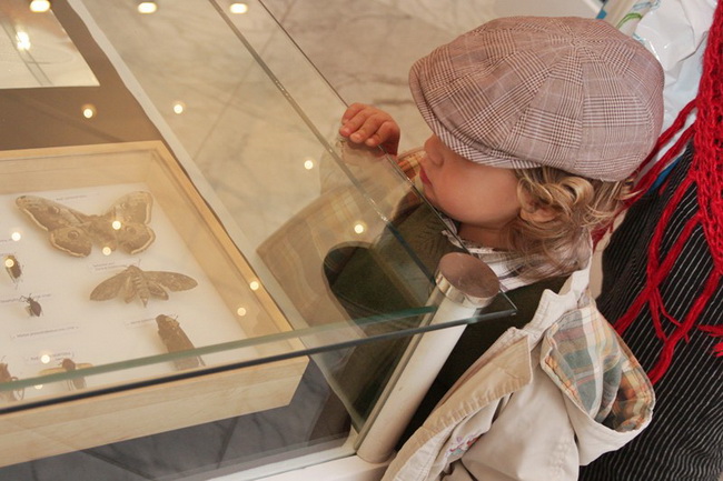 Izlozba A sto ako vam se svidjam? u Gradskoj lozi Izlozba A sto ako vam se svidjam? u Gradskoj lozi