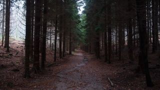 Samoborsko gorje, studeni 2010