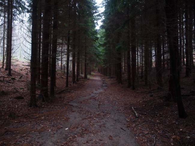 Samoborsko gorje, studeni 2010