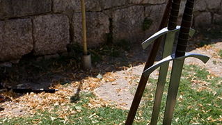 Zvonimirovi dani, Knin 28. i 29. lipnja 2008.