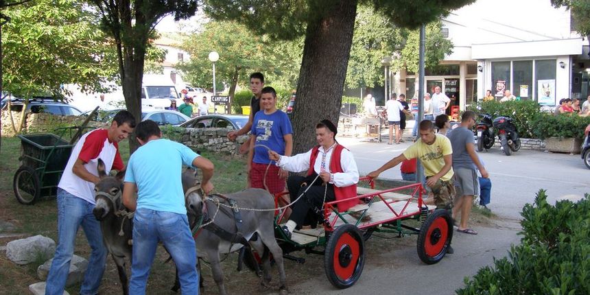 Utrka magaraca u Posedarju, Foto: Josip Prskalo