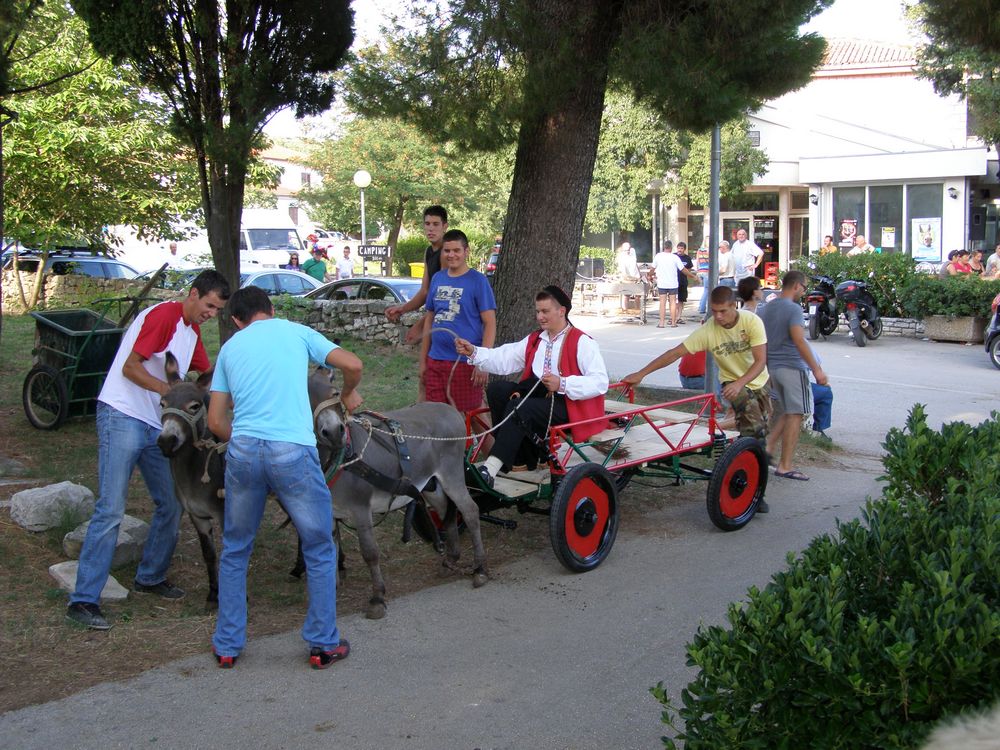 Utrka magaraca u Posedarju, Foto: Josip Prskalo Utrka magaraca u Posedarju, Foto: Josip Prskalo