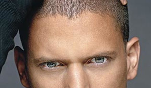 wentworth miller