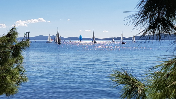 Zadarska Koka 2016. 22. listopada 2016. Foto: Mladen Malik Zadarska Koka 2016. 22. listopada 2016. Foto: Mladen Malik