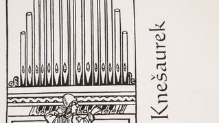 Cantatibus Organis u katedrali svete Stosije, 29. srpnja 2010, Foto. Ivan Dilber Cantatibus Organis u katedrali svete Stosije, 29. srpnja 2010, Foto. Ivan Dilber