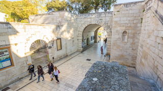 nova vrata, studeni suncan dan, koronavirus nova vrata, studeni suncan dan, koronavirus