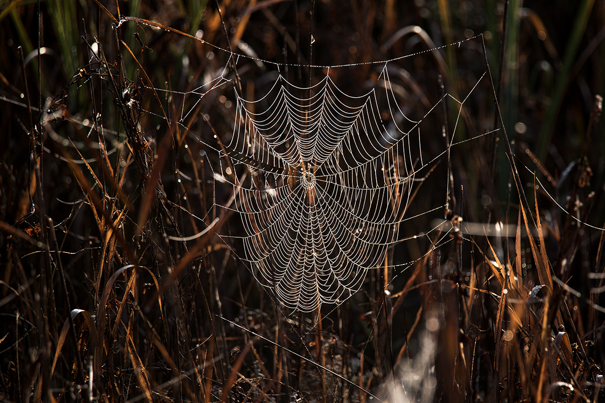 Čarobno jutro na Vranskom jezeru Čarobno jutro na Vranskom jezeru