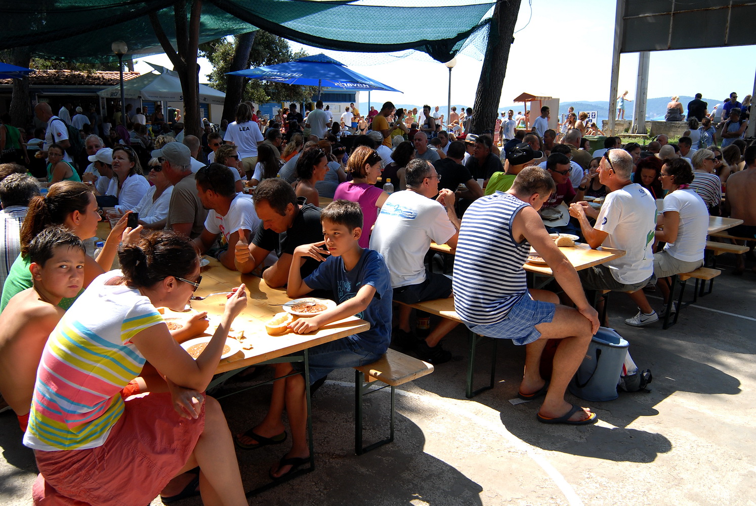 42. plivački maraton Preko – Zadar, Foto: PK Zadar