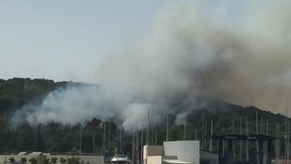 Šumski požar u Malom Lukoranu, Foto: Valentin Bakota Šumski požar u Malom Lukoranu, Foto: Valentin Bakota