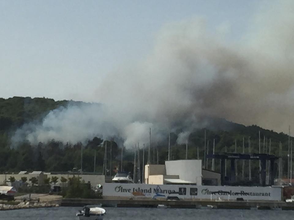 Šumski požar u Malom Lukoranu, Foto: Valentin Bakota Šumski požar u Malom Lukoranu, Foto: Valentin Bakota