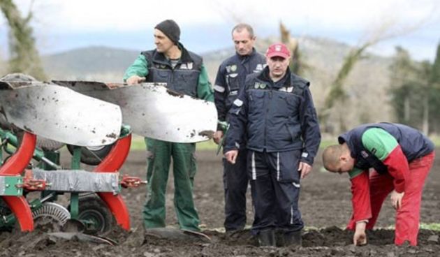 SP u oranju, pripreme, Foto: Andrija Lučić / CROPIX