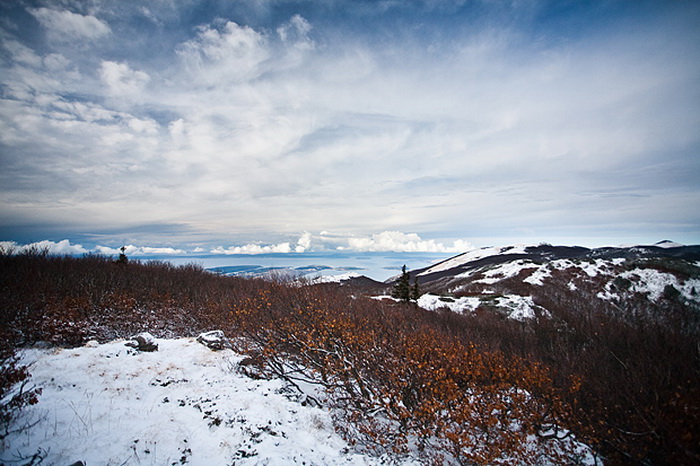 Đir do vrha Zečjak na sjevernom Velebitu, Foto: Leo Banić