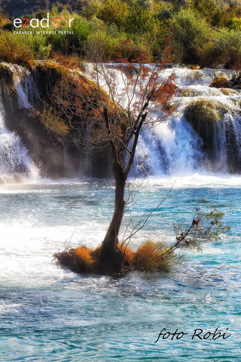 U spomen: Roberto Lerga 1966. – 2016. U spomen: Roberto Lerga 1966. – 2016.